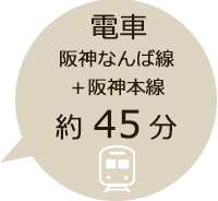 電車 阪神なんば線＋阪神本線で約45分