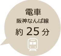 電車　阪神なんば線で約25分